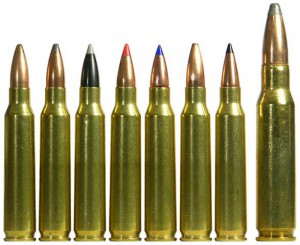 .223 Remington Cartridges