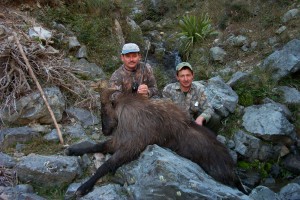 Hunting Tahr in New Zealand - image of animal and hunters